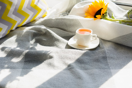 Cozy home with cup of hot tea near window with plaid and pillowの写真素材