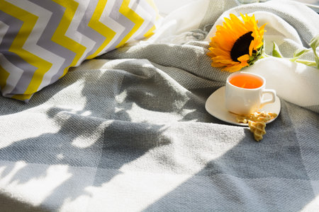 Cozy home with cup of hot tea near window with plaid and pillow