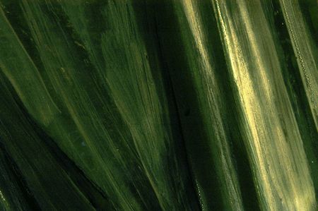 Plant or Artの写真素材