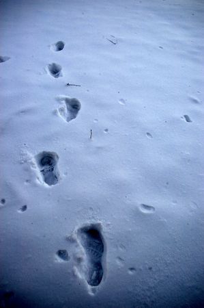 Snowy footprints