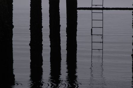 Reflectionsの写真素材