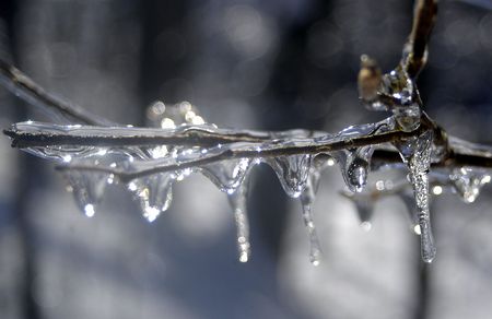 Frozen ice dropletsの写真素材
