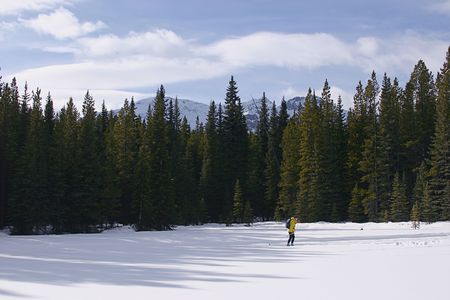 A person cross country-skiing in kanaskis country, canada.の写真素材