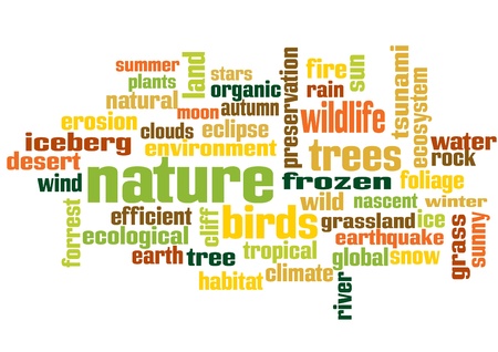 This´s cloud with several words related with nature and environment  It´s resizable and editable のイラスト素材