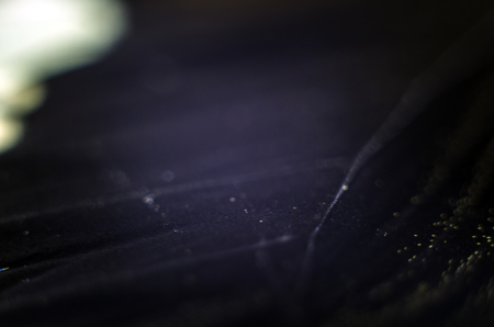 macro photo of a butterfly wingの写真素材