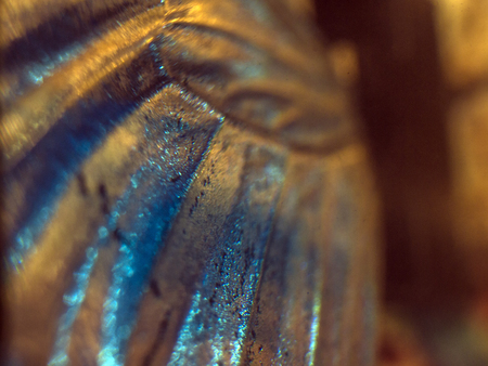 macro photo of a butterfly wingの写真素材
