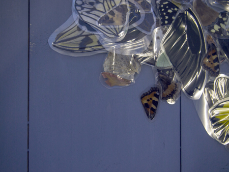 macro photo of a butterfly wingの写真素材