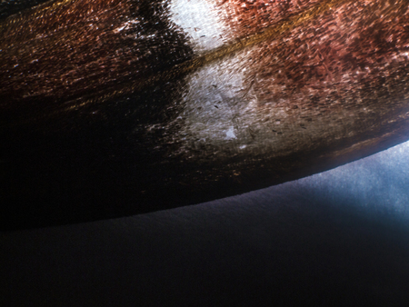 macro photo of a butterfly wingの写真素材