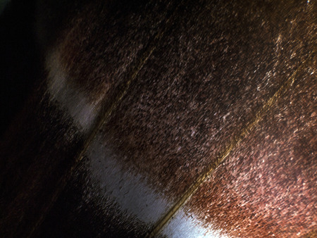 macro photo of a butterfly wingの写真素材