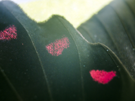 macro photo of a butterfly wingの写真素材