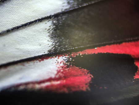 macro photo of a butterfly wingの写真素材