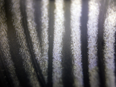 macro photo of a butterfly wingの写真素材