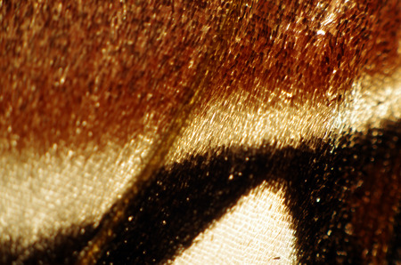 macro photo of a butterfly wingの写真素材