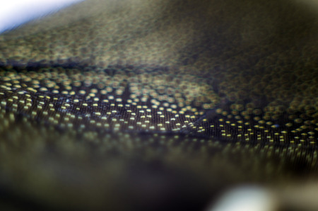 macro photo of a butterfly wingの写真素材