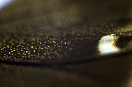 macro photo of a butterfly wingの写真素材