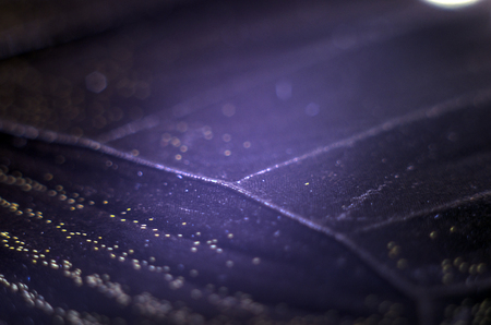 macro photo of a butterfly wingの写真素材