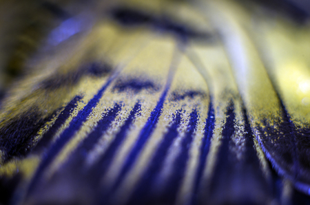macro photo of a butterfly wingの写真素材