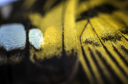 macro photo of a butterfly wingの写真素材
