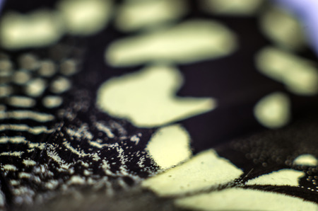 macro photo of a butterfly wingの写真素材