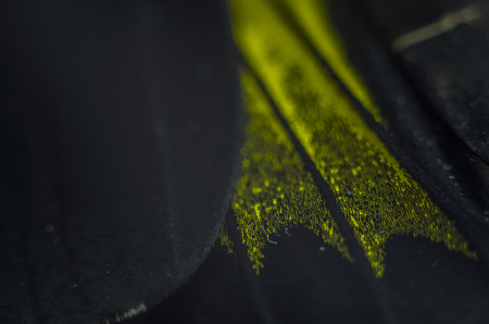 macro photo of a butterfly wingの写真素材