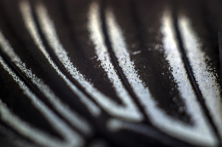 macro photo of a butterfly wingの写真素材