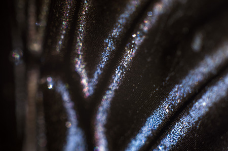 macro photo of a butterfly wingの写真素材
