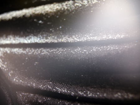 macro photo of a butterfly wingの写真素材