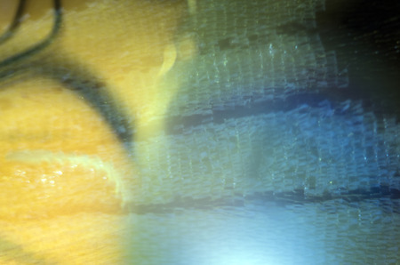 macro photo of a butterfly wingの写真素材