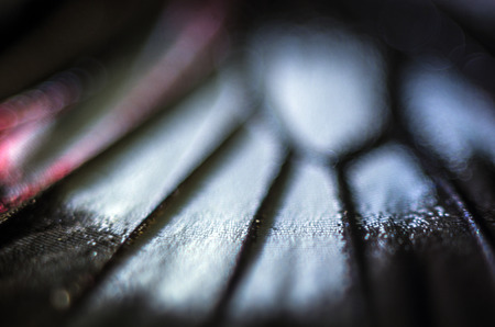 macro photo of a butterfly wingの写真素材