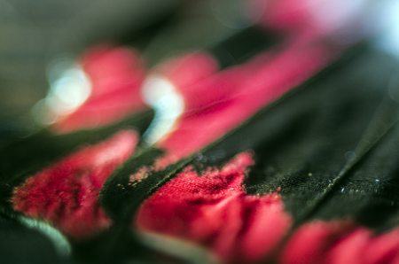 macro photo of a butterfly wingの写真素材