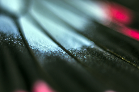 macro photo of a butterfly wingの写真素材