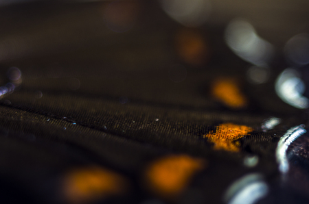macro photo of a butterfly wingの写真素材