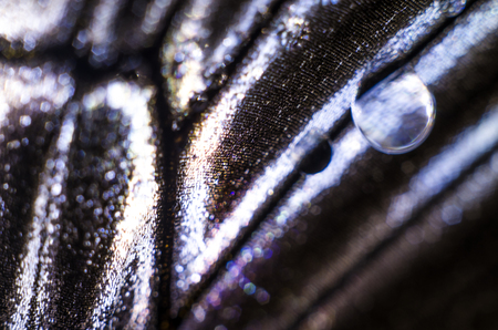 macro photo of a butterfly wingの写真素材