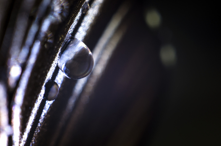 macro photo of a butterfly wingの写真素材