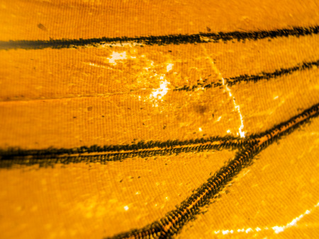 macro photo of a butterfly wingの写真素材
