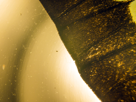 macro photo of a butterfly wingの写真素材