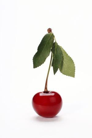 Cherry on a white backgroundの写真素材
