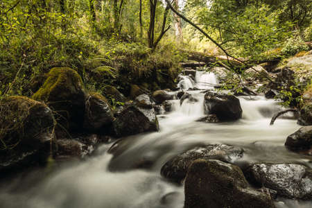 River stream in silk effect, in the middle of a forestの写真素材