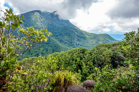 Morne Seychellois National Park in Mahe Seychelles main islandの写真素材