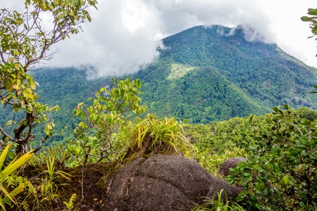 Morne Seychellois National Park in Mahe Seychelles main islandの写真素材