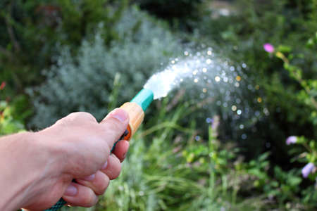 Hand holding a hose, watering the gardenの写真素材