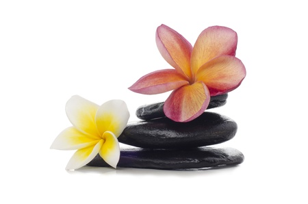 The frangipani flowers and black stones on white backgroundの写真素材