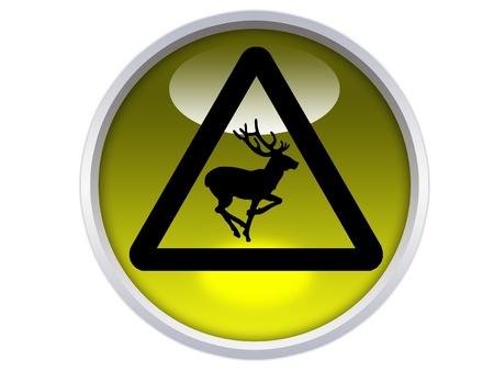 wild animals ahead symbol on yellow glossy signage isolated over white backgroundの写真素材