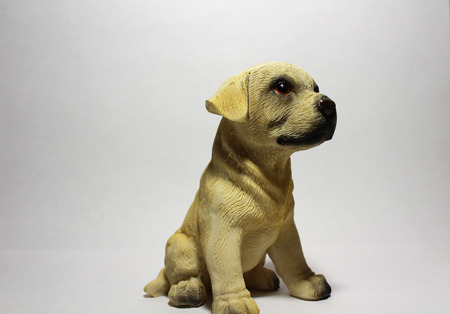 toy dogの写真素材