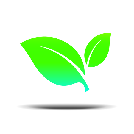 Vegan fresh green leaf on a white background.のイラスト素材