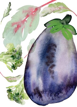 Menu with eggplant watercolor card on a white backgroundの写真素材