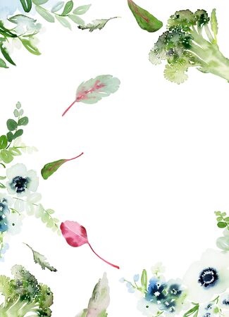 Menu with cauliflower and lettuce. Watercolor card on a white background.の写真素材