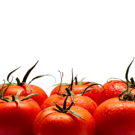 Healthy Eating. A Row Of Tomatoes Are Covered With Dew On A White Backgroundの写真素材