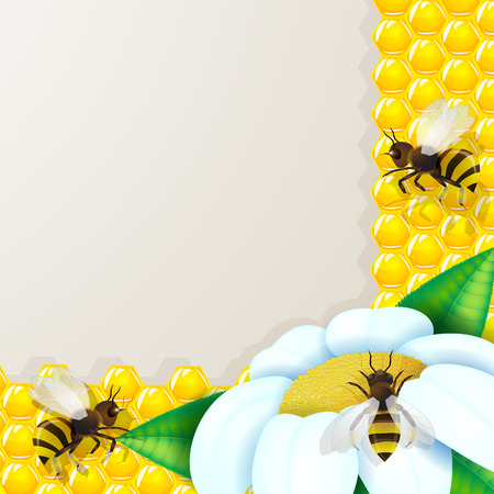 Bees with flowers over honeycomb background のイラスト素材