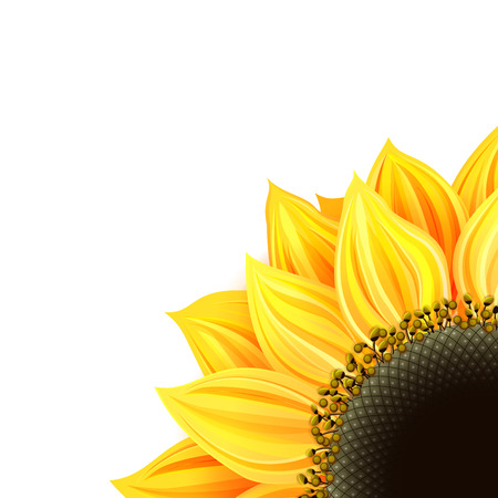 Sunflower cardのイラスト素材